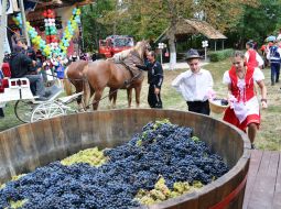 2018 - BeregFeszt - Megtartó hagyomány